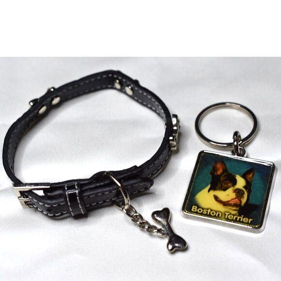 Black Leather Silver Tone Rhinestone Accent Bones Dog 9"-11"  Collar/ Key Chain - Picture 1 of 4